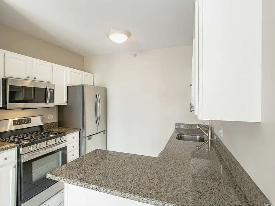 600 N DEARBORN Street #1207, Chicago, IL