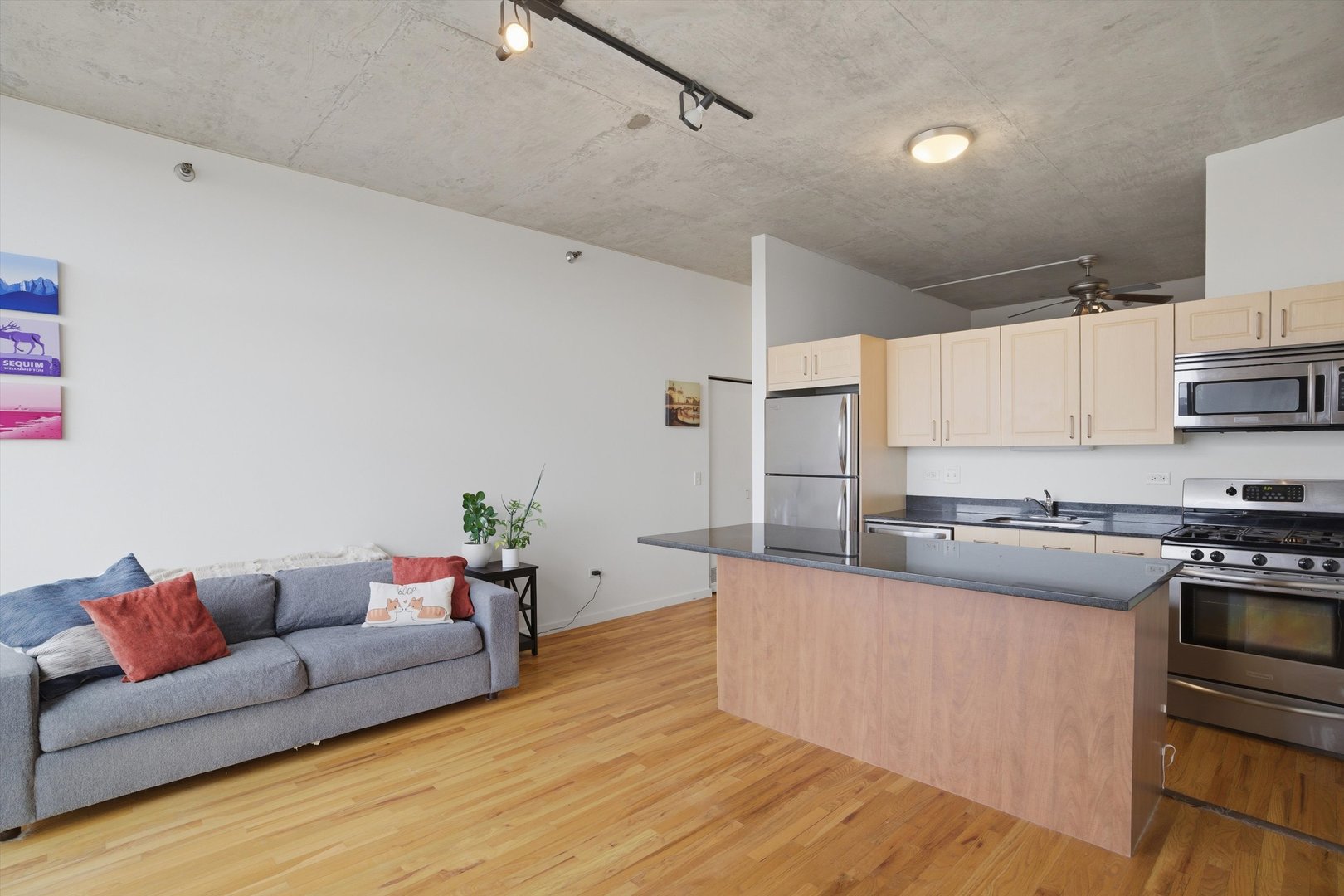 1620 S Michigan Avenue #418, Chicago, IL