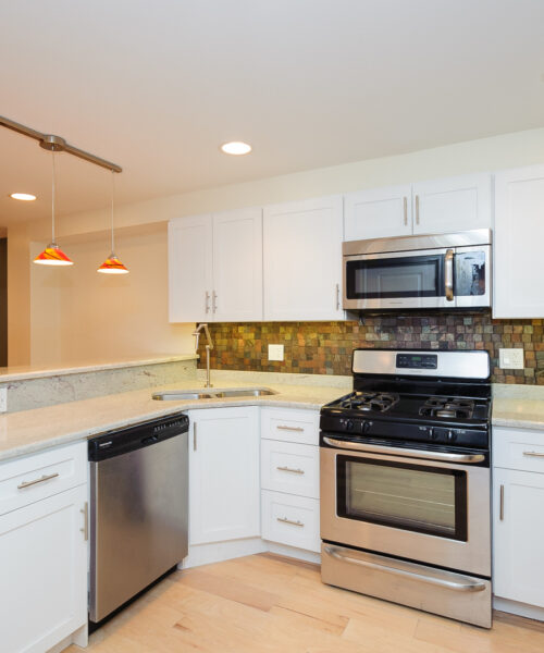 2155 W Potomac Avenue #GDN, Chicago, IL