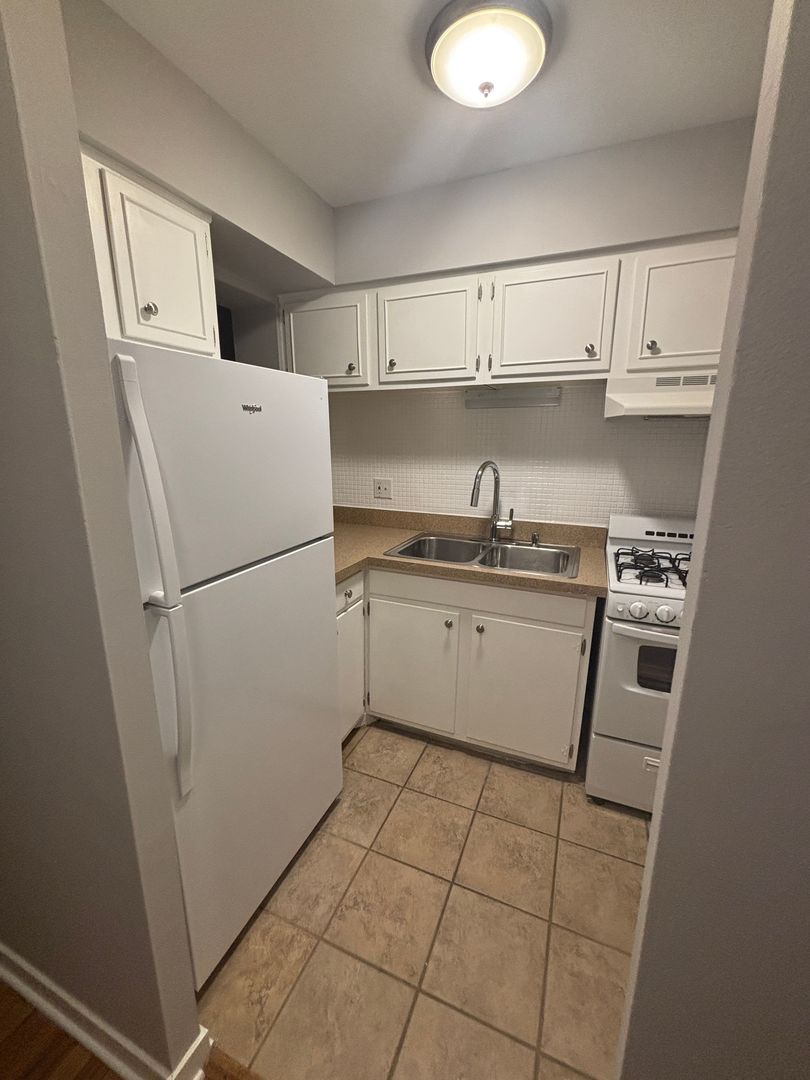 3161 N Cambridge Avenue #315, Chicago, IL