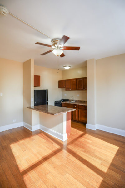 5326 S cornell Avenue #411, Chicago, IL