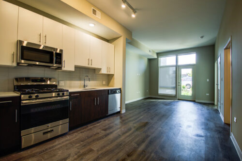 851 W Grand Avenue #102, Chicago, IL