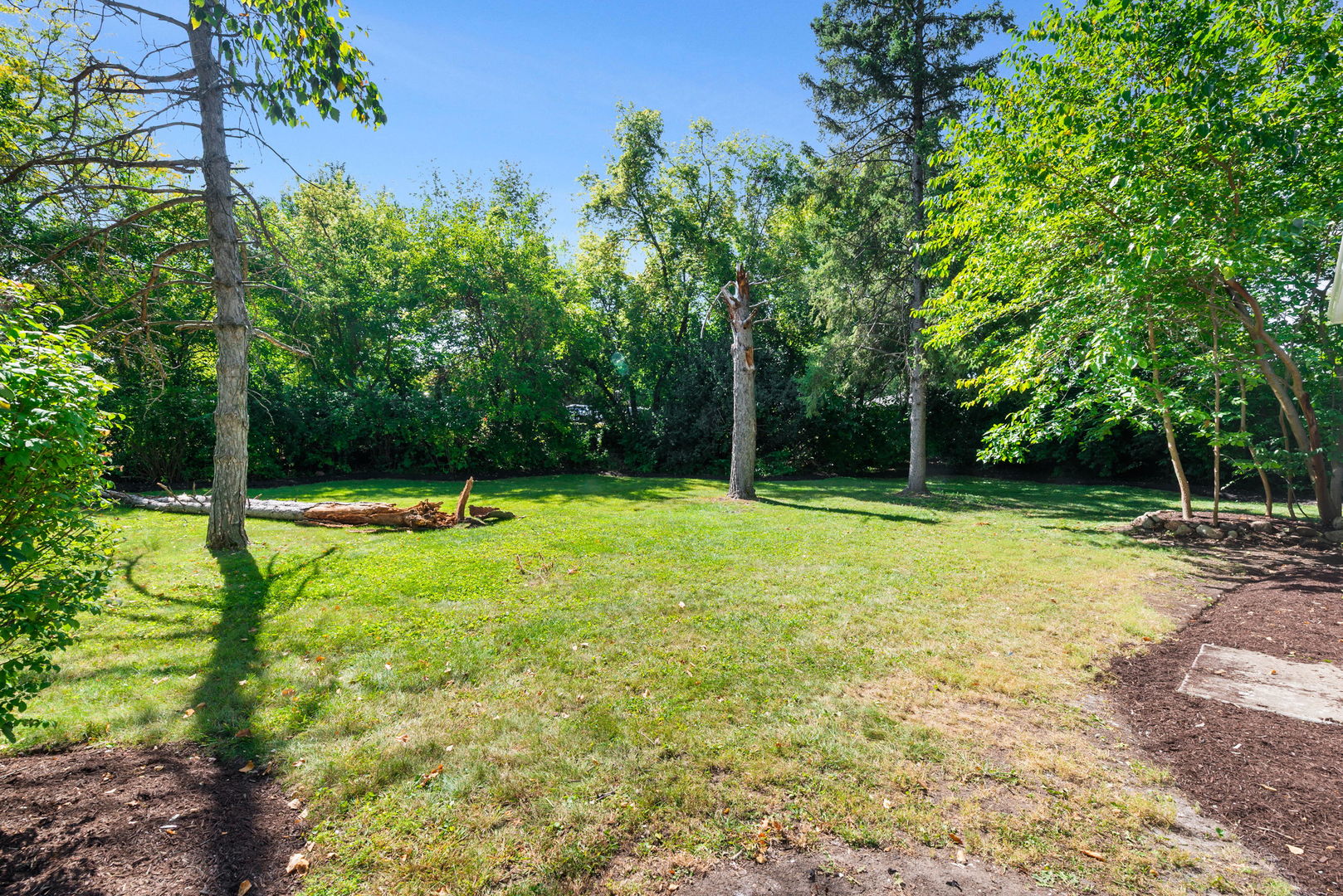 88 N Airlite Street, Elgin, IL