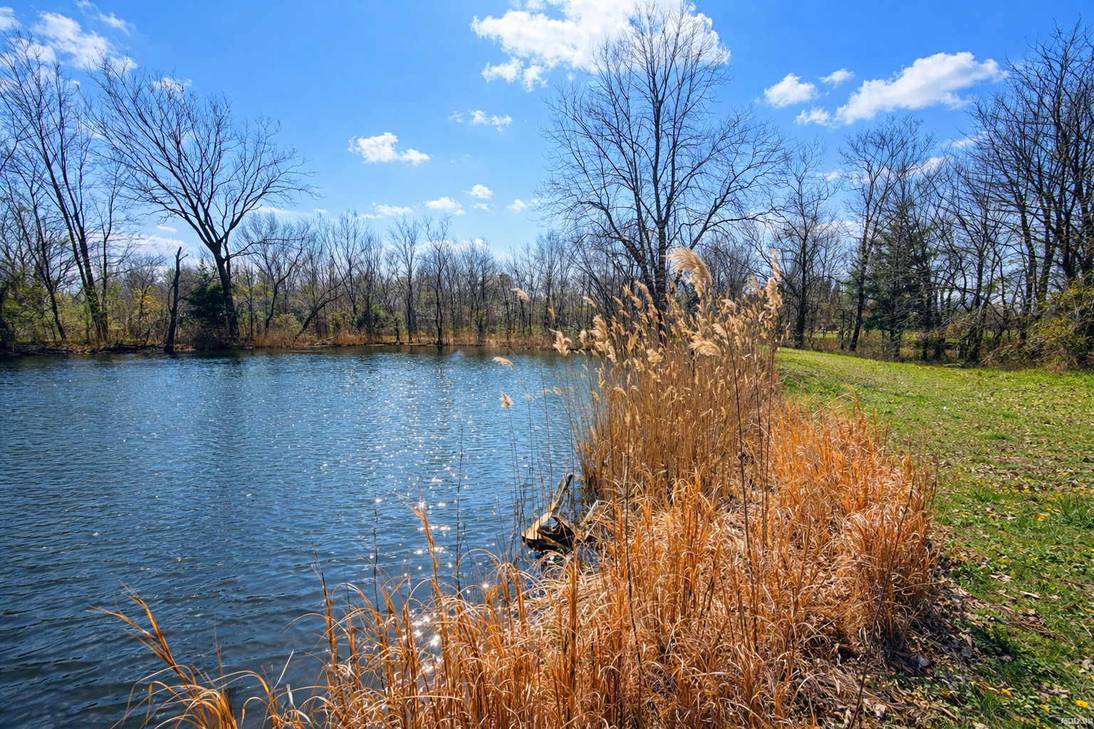 2041 mills cart Road, Salem, IL