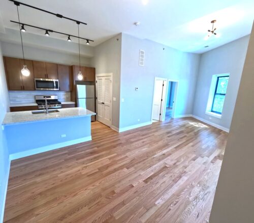 3473 S Archer Avenue #305, Chicago, IL