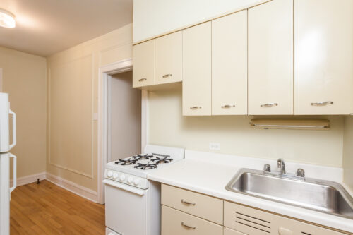 2328 N LINCOLN PARK WEST #1A, Chicago, IL