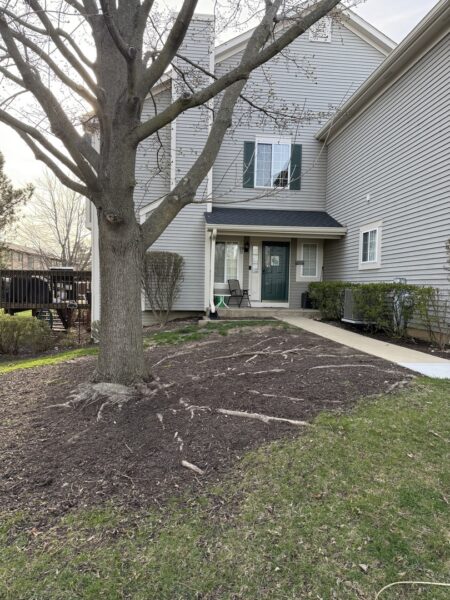19 Windsor Circle #B, South Elgin, IL