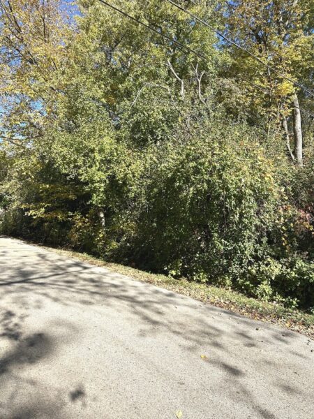 10843 W Edgewood Road, Beach Park, IL