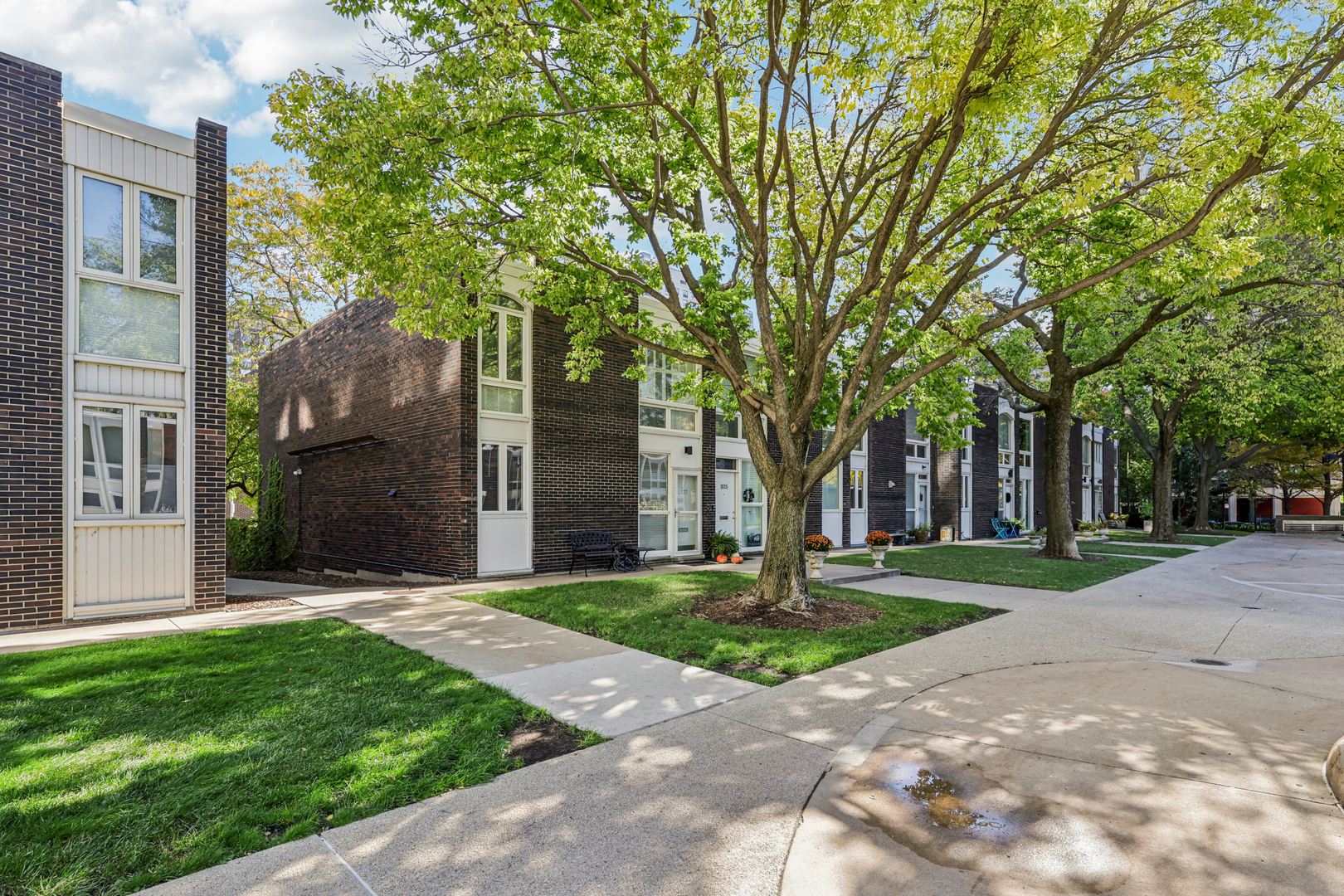 1319 N Sandburg Terrace, Chicago, IL