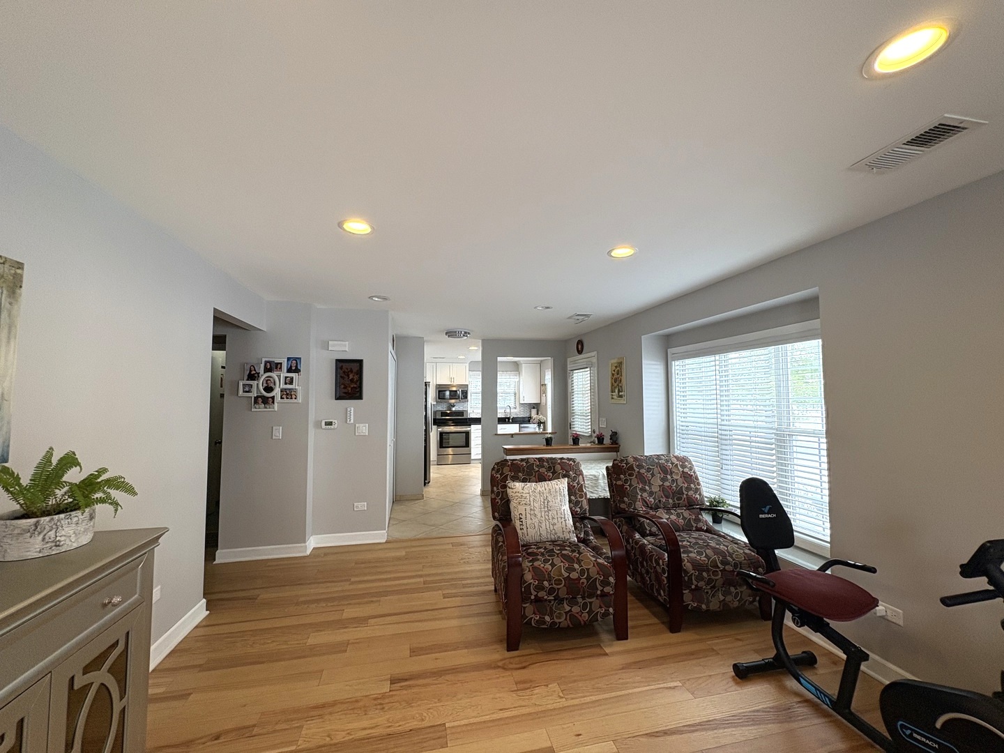 258 Odlum Court, Schaumburg, IL