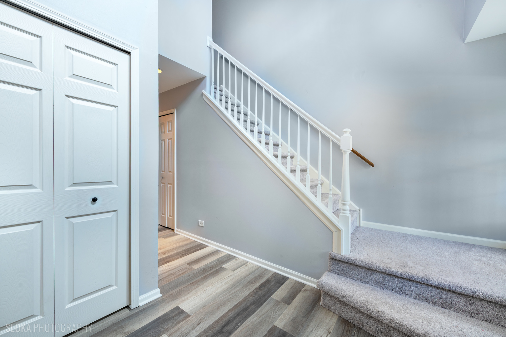 229 Spring Point Drive, Carpentersville, IL