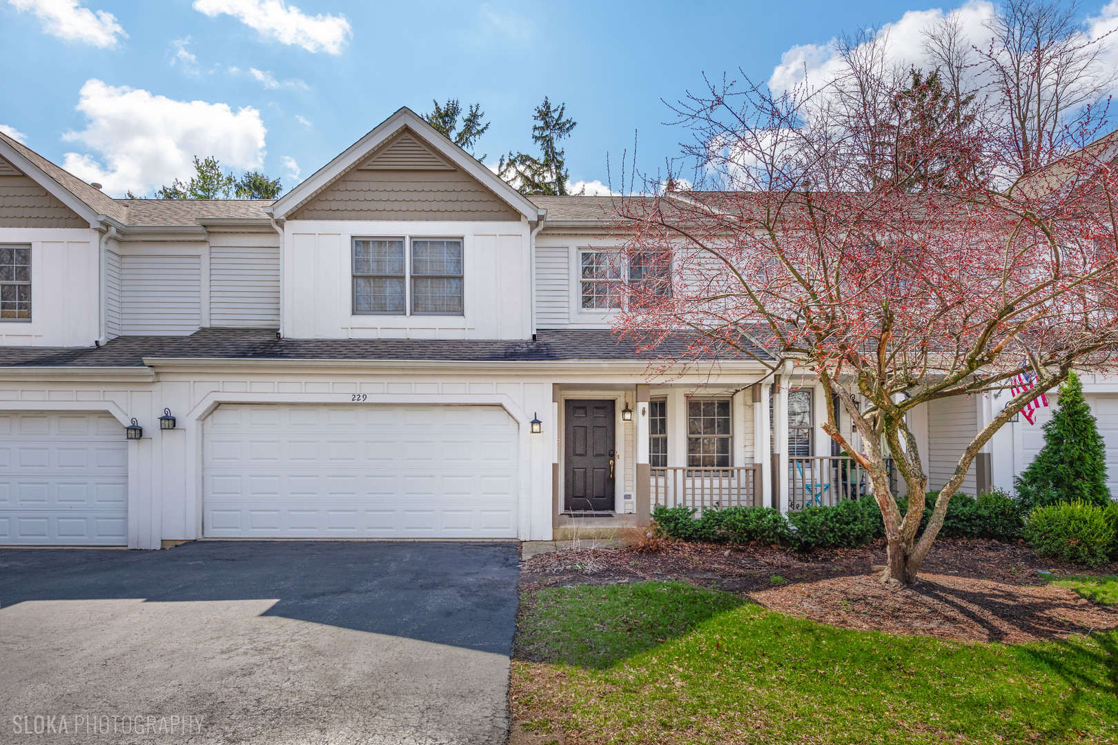 229 Spring Point Drive, Carpentersville, IL