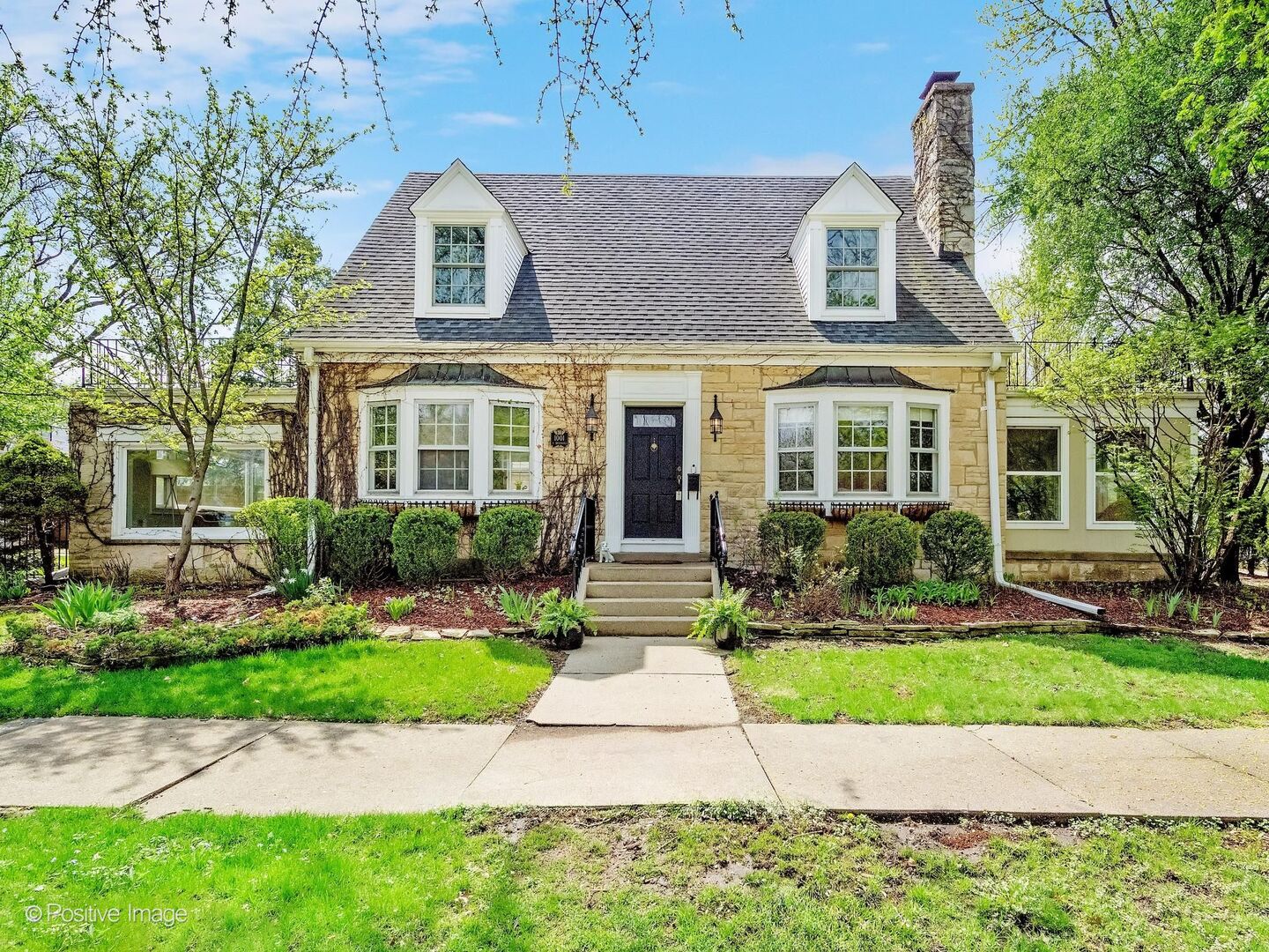 1001 S Brainard Avenue, La Grange, IL