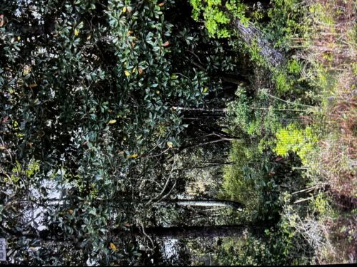 Lot 10 Baldwin Street, Perdido Beach, AL