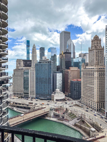 300 N STATE Street #3008, Chicago, IL