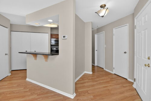 1233 Wyndham Court #204, Palatine, IL