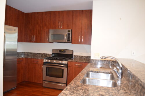 160 E Illinois Street #1605, Chicago, IL