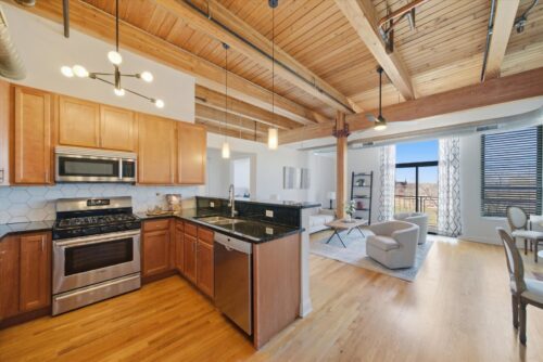 1610 S Halsted Street #401, Chicago, IL