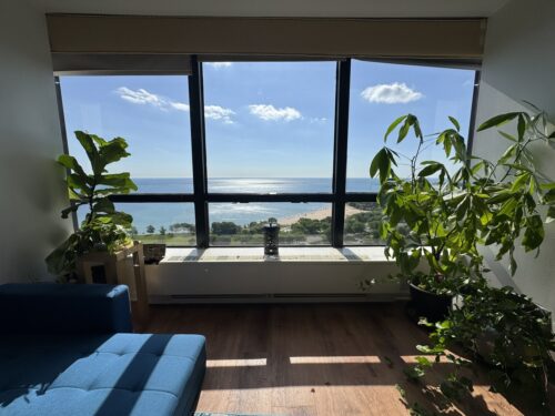 5415 N Sheridan Road #2904, Chicago, IL