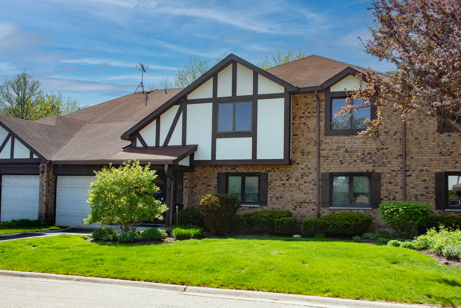 538 Banyon Lane #D, La Grange, IL