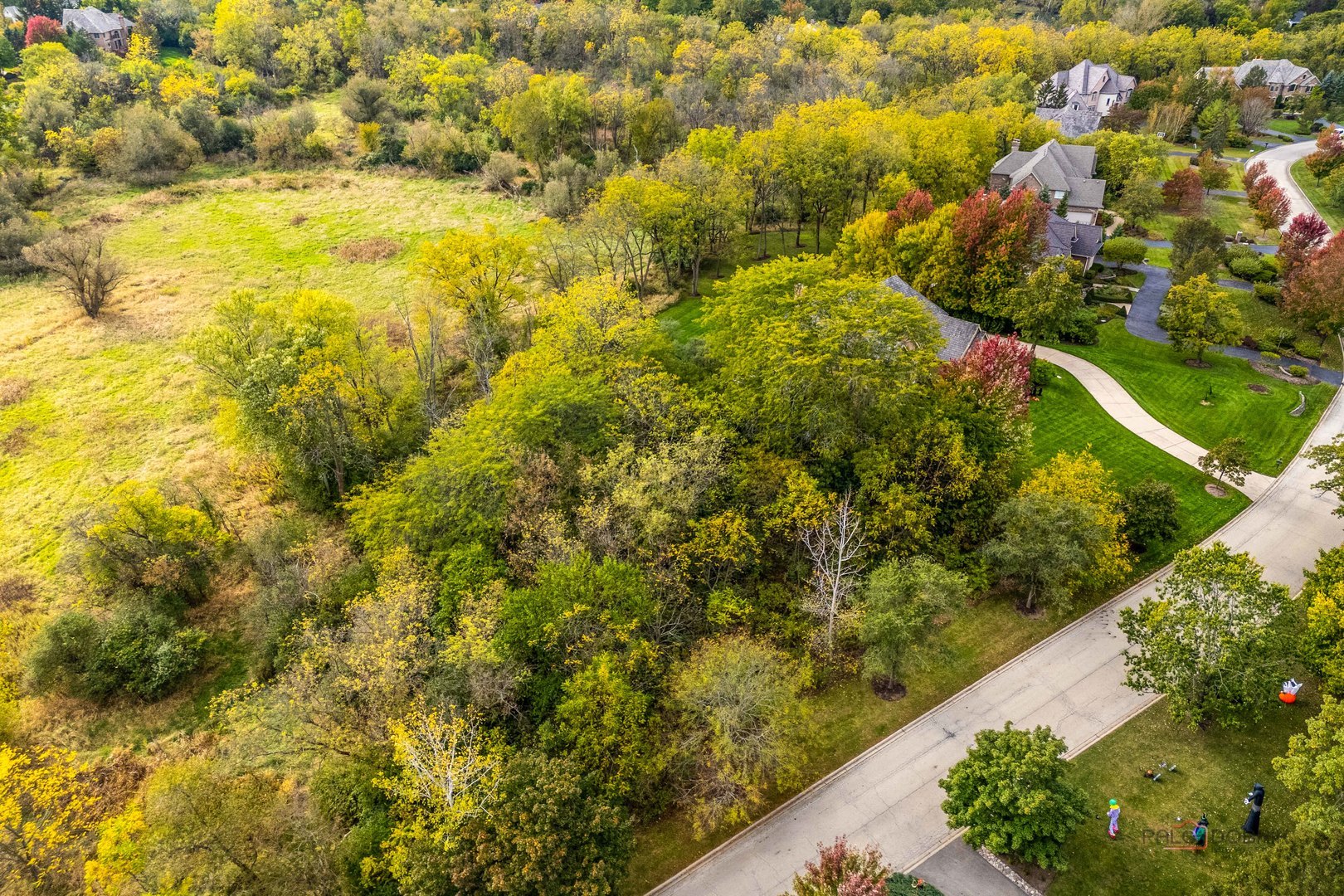 21693 N Tall Oaks Drive, Kildeer, IL