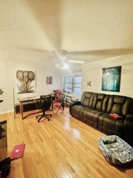 535 W Briar Place #254, Chicago, IL