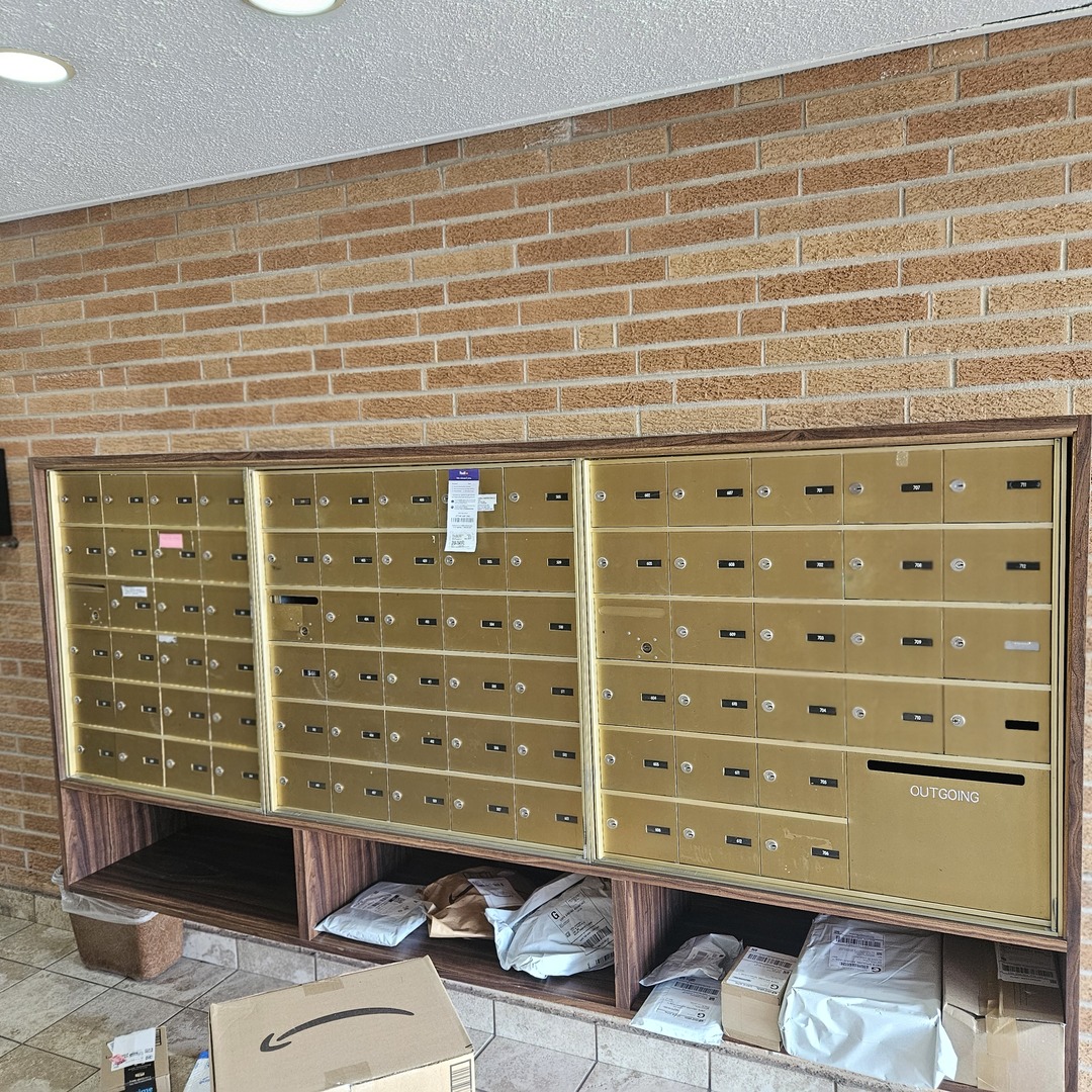 1717 W CRYSTAL Lane #310, Mount Prospect, IL