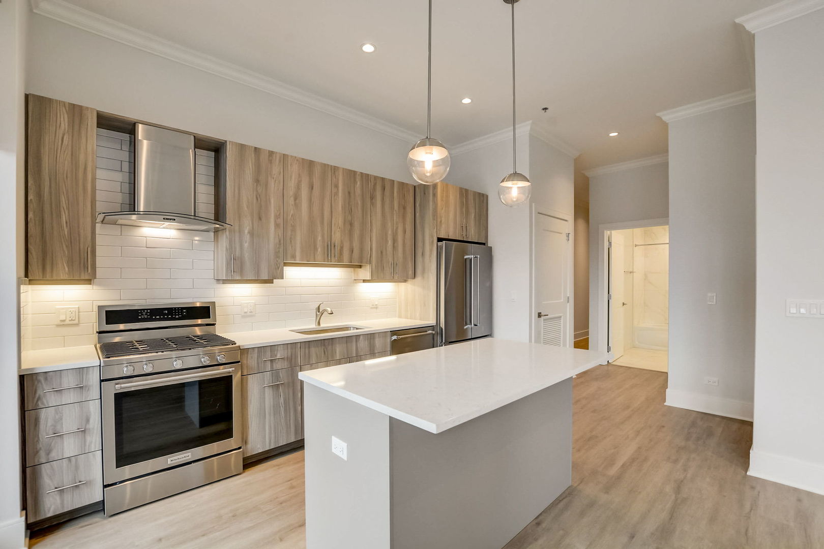 128 S Laflin Street #307, Chicago, IL