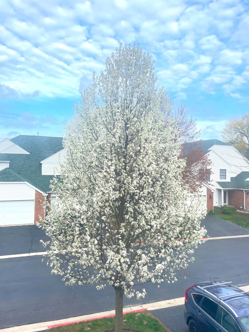 106 Pembroke Circle #106, Lake Bluff, IL