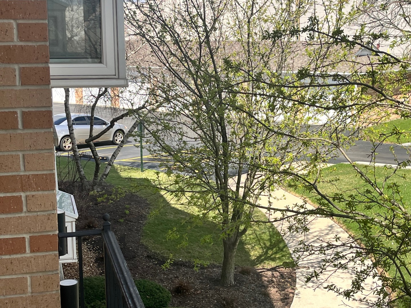 18320 Robin Lane #D2, Homewood, IL