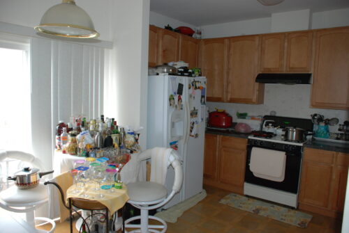 1140 CLAREMONT Drive, Palatine, IL
