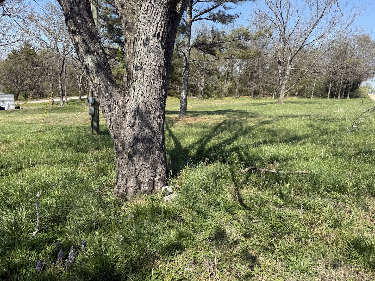 110 Cherokee Drive, Goreville, IL
