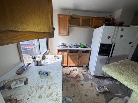 543 Arbor Drive, Round Lake Park, IL