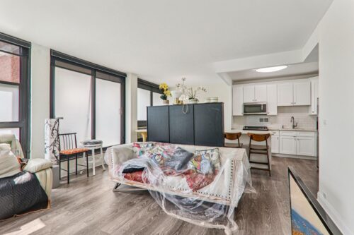 2941 S Michigan Avenue #105, Chicago, IL