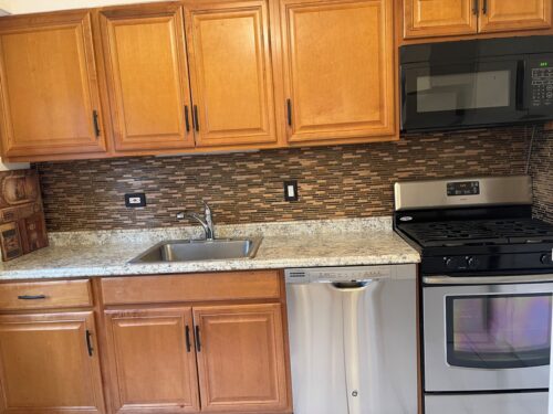 1534 Palmgren Drive, Glenview, IL