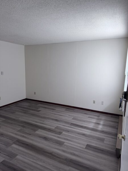 207 W Hydraulic Street #2, Yorkville, IL