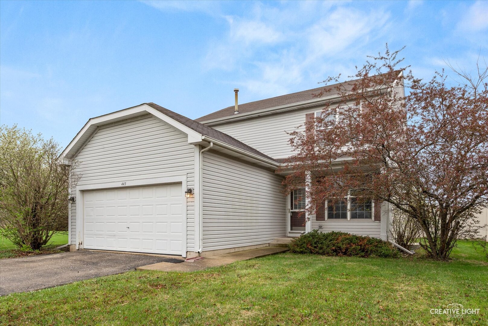 443 Grape Vine Trail, Oswego, IL
