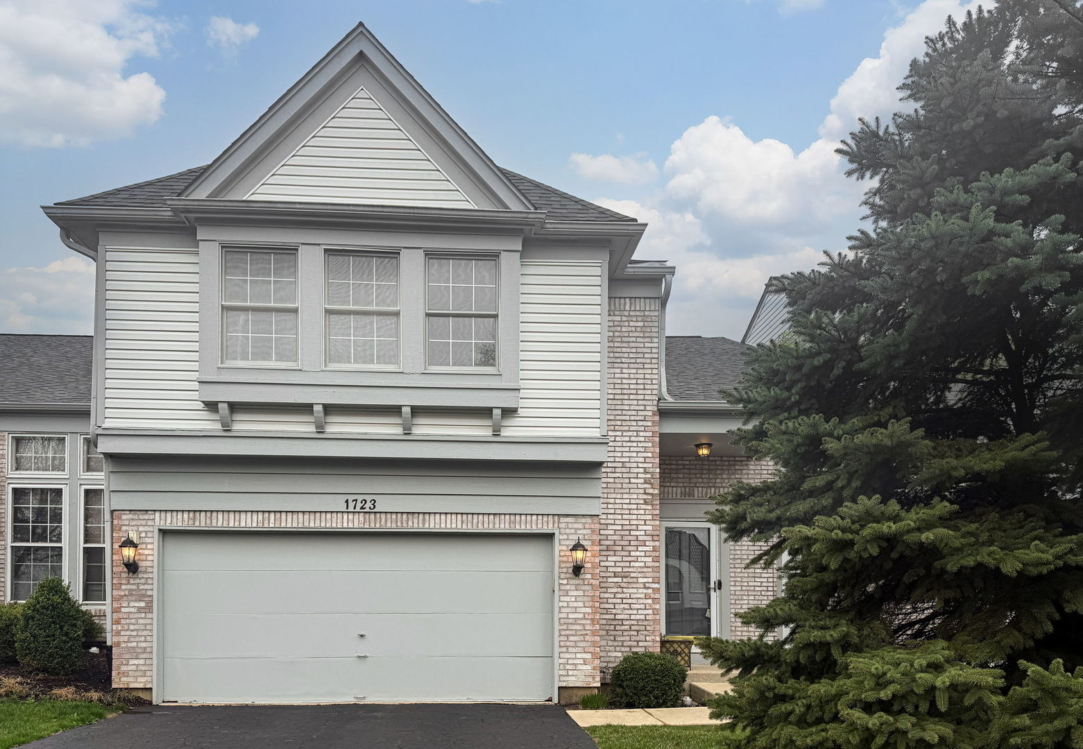 1723 Napoleon Drive, Naperville, IL