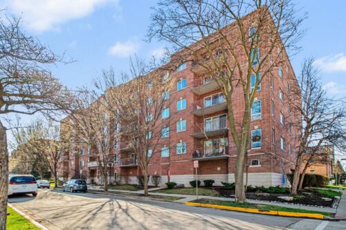 1327 E Washington Street #309, Des Plaines, IL