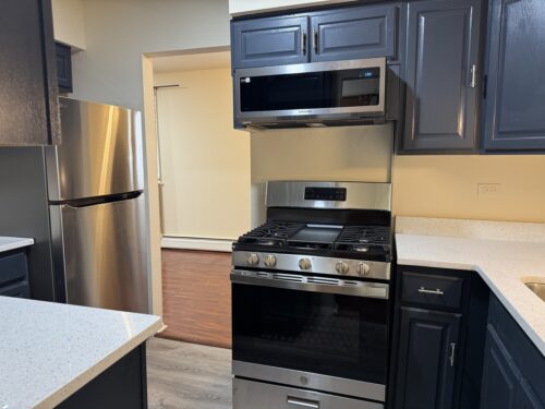 7320 N ROGERS Avenue #215, Chicago, IL