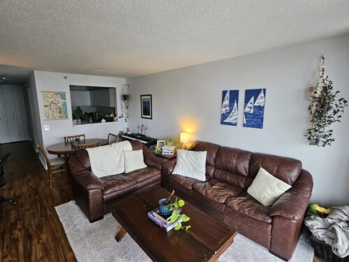 3660 N Lake Shore Drive #2205, Chicago, IL