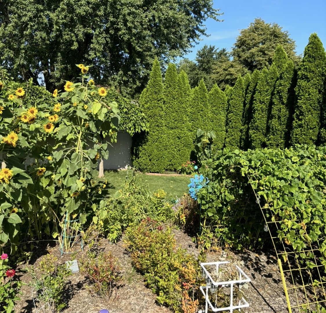 856 Quail Drive, Bradley, IL