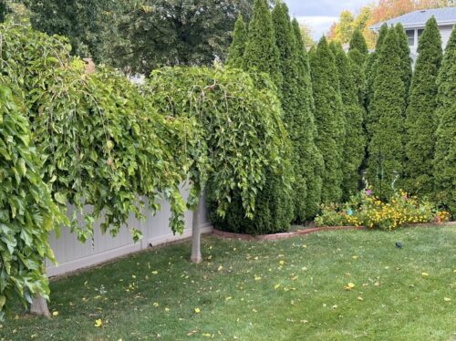 856 Quail Drive, Bradley, IL