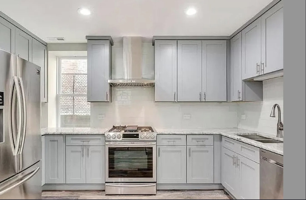 1930 S Morgan Street #1, Chicago, IL