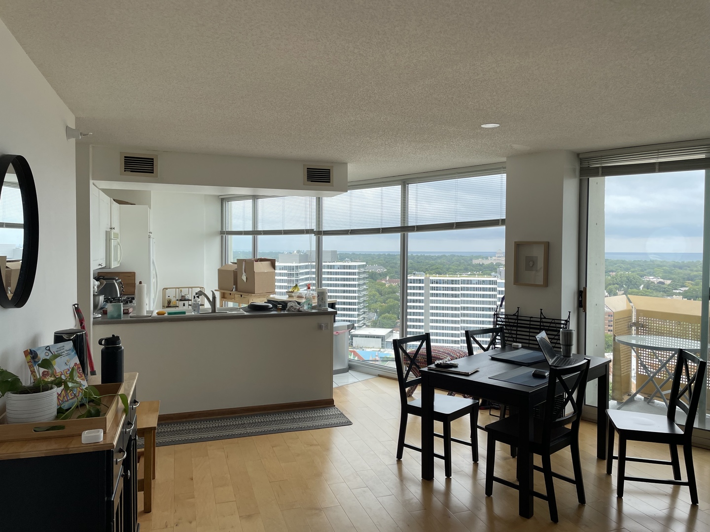 1720 Maple Avenue #2120, Evanston, IL