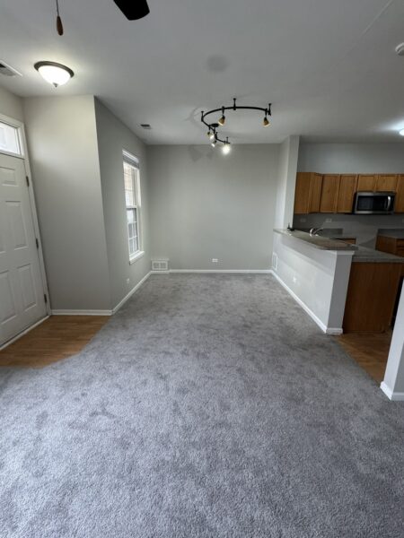 309 Springbrook Trail, Oswego, IL