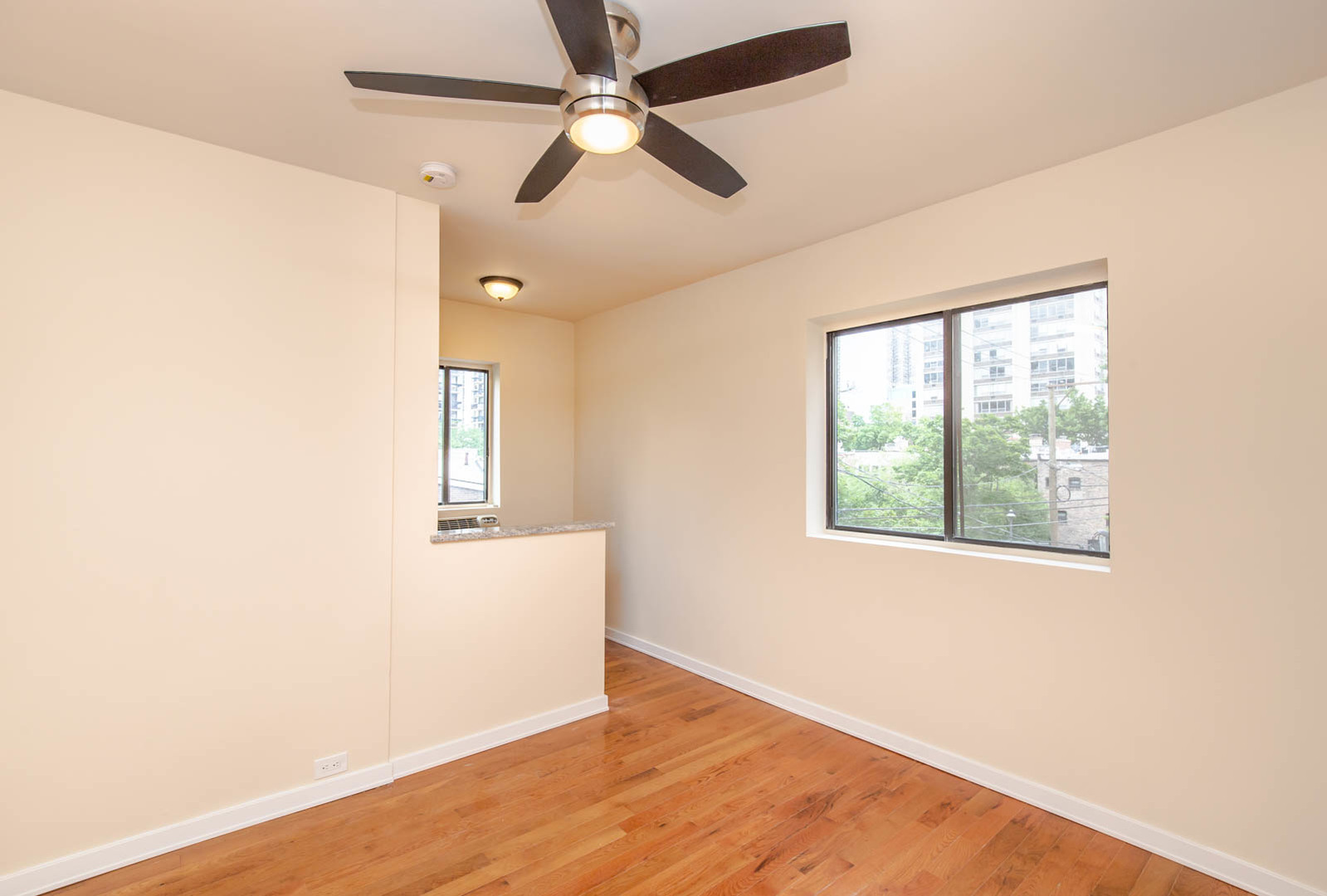 1430 N Dearborn Parkway #313, Chicago, IL