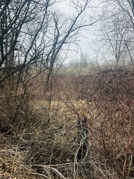 0000 15000 Road, Pembroke Twp, IL