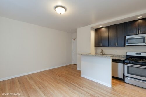 1504 N Dearborn Parkway #204, Chicago, IL
