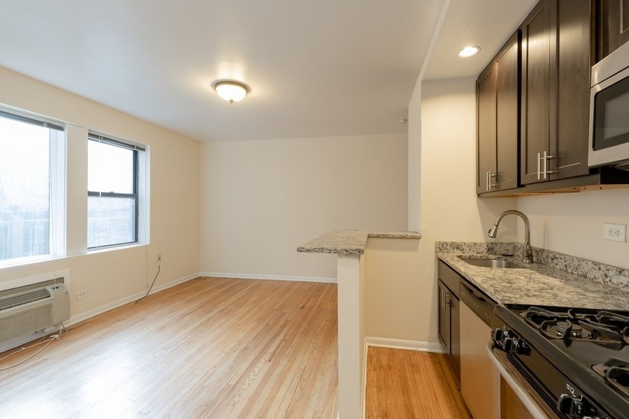 1504 N Dearborn Parkway #204, Chicago, IL